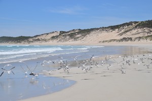 Image-preview_300x200