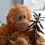 Image-square_50