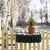Image-square_50