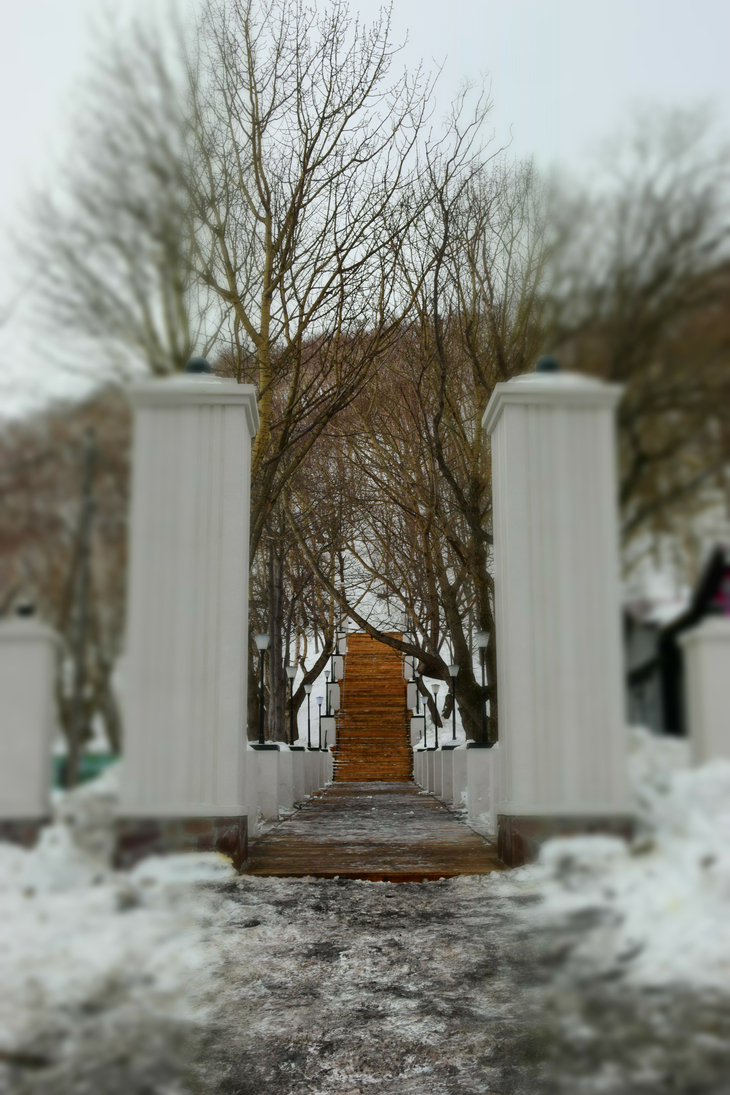 Image-normal
