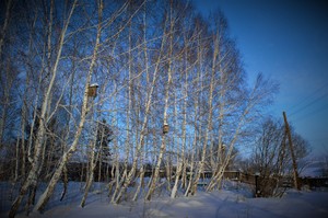 Image-preview_300x200