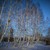 Image-square_50