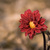 Image-square_50