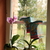 Image-square_50