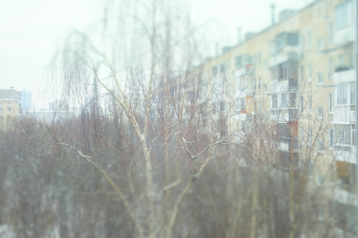 Image-normal