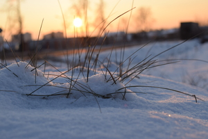 Image-preview_300x200