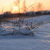 Image-square_50