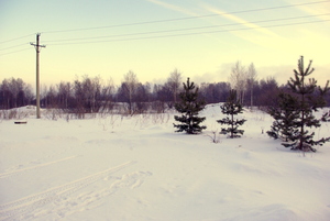 Image-preview_300x200