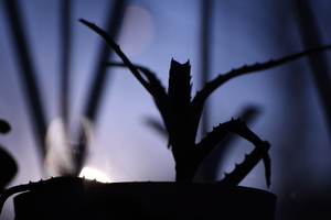 Image-preview_300x200