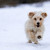 Image-square_50