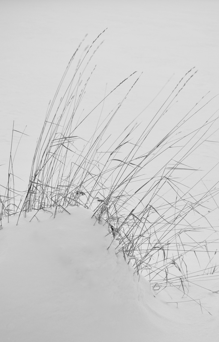 Image-normal