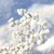Image-square_50