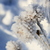 Image-square_50