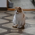 Image-square_50