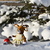 Image-square_50