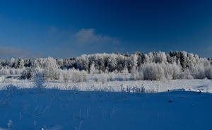 Image-preview_300x200