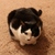 Image-square_50