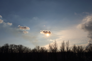 Image-preview_300x200