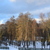Image-square_50