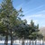 Image-square_50