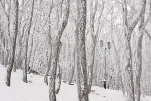 Image-preview_300x200