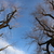Image-square_50