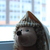 Image-square_50
