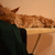 Image-square_50