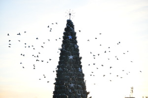 Image-preview_300x200