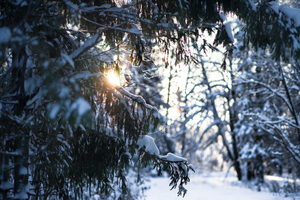 Image-preview_300x200