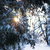 Image-square_50