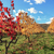 Image-square_50