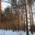 Image-square_50
