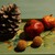 Image-square_50