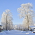 Image-square_50