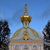 Image-square_50