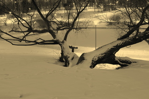 Image-preview_300x200