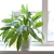 Image-square_50