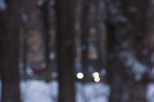 Image-preview_300x200