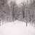 Image-square_50