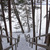 Image-square_50