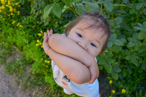 Image-preview_300x200