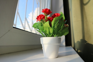 Image-preview_300x200