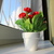 Image-square_50