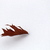 Image-square_50