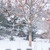 Image-square_50