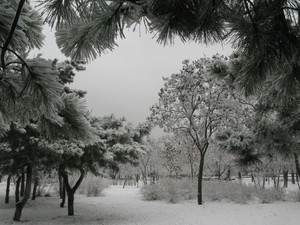 Image-preview_300x200