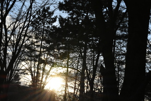 Image-preview_300x200