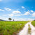 Image-square_50