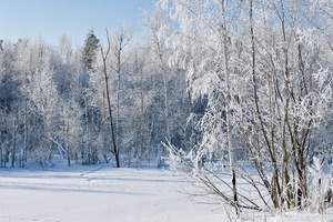 Image-preview_300x200